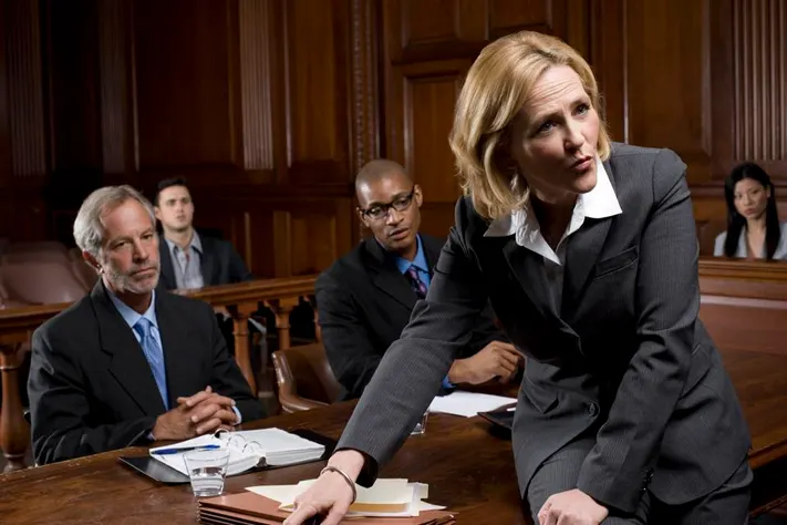 Professional Lawyer